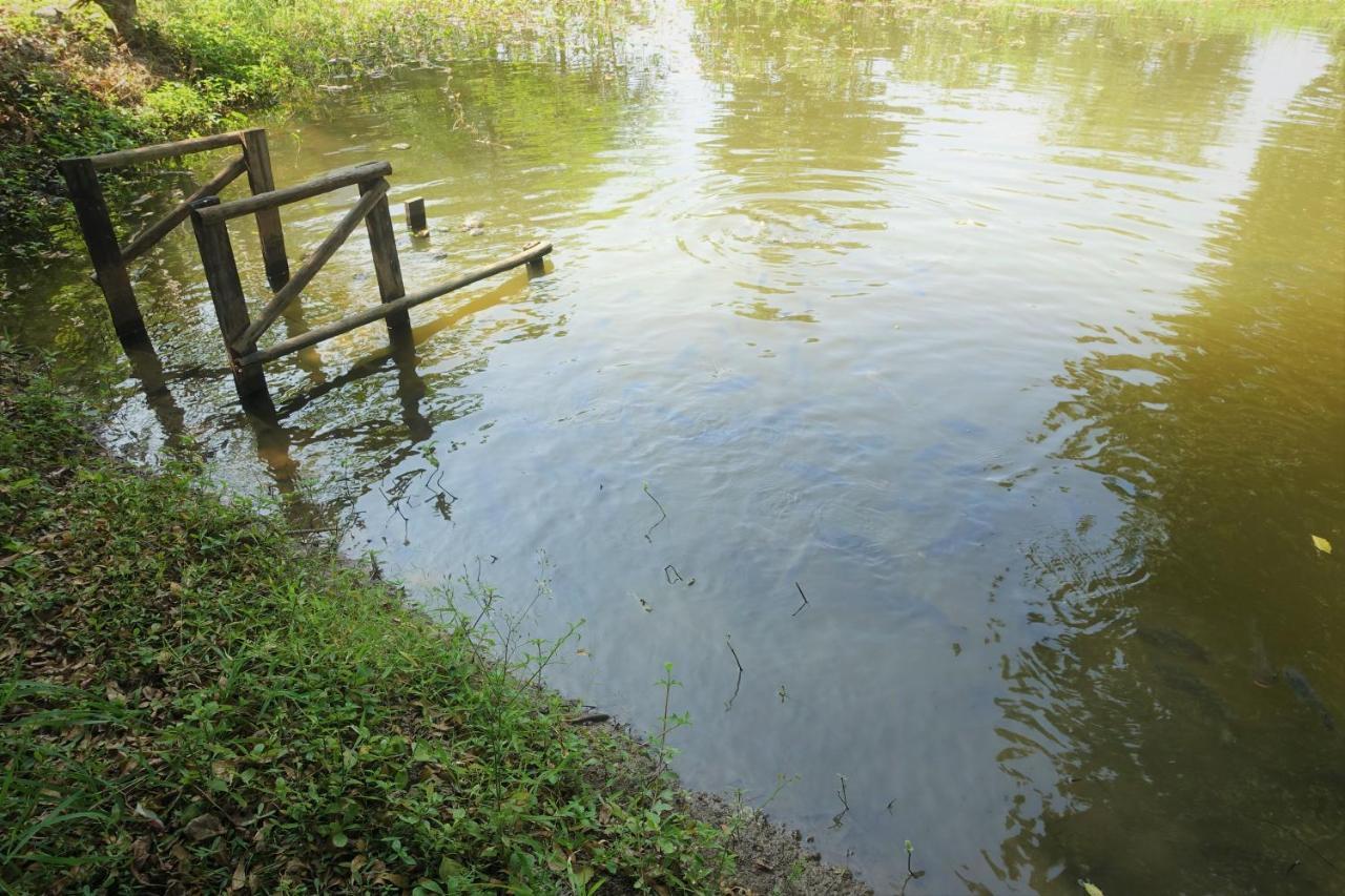 The Park Bangyai Residence Ban Bang Yai  Bagian luar foto